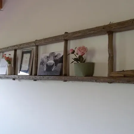 Apartmán Onemooshof *